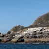 Paseo en velero por la ría de Vigo