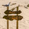 Camino Marítimo a Santiago