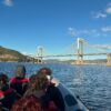 Tour_Acuatico_experienciaSailway_Vigo_Galicia