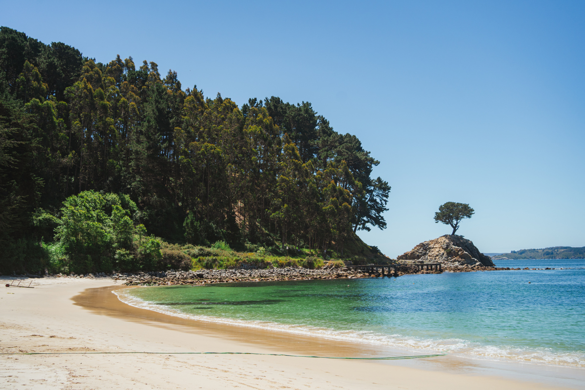 ruta ria de vigo